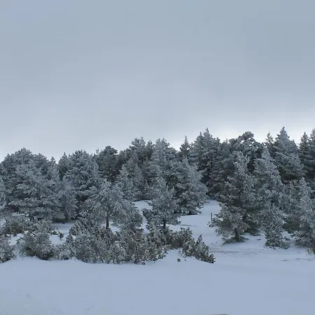 Realrent Vega De La Selva 아파트 Alcalá de la Selva