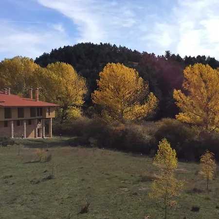 Realrent Vega De La Selva